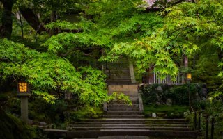 z月提车黄道吉日 本月提车日子？